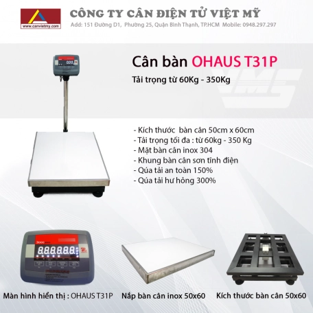 Cân điện tử 400Kg - T31p 4