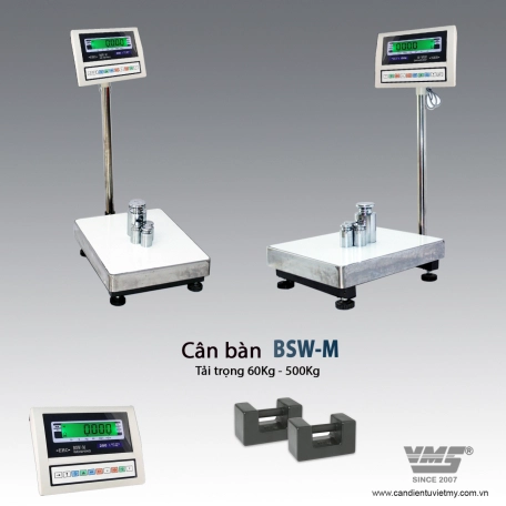 Cân điện tử 250Kg - Bsw-m 3